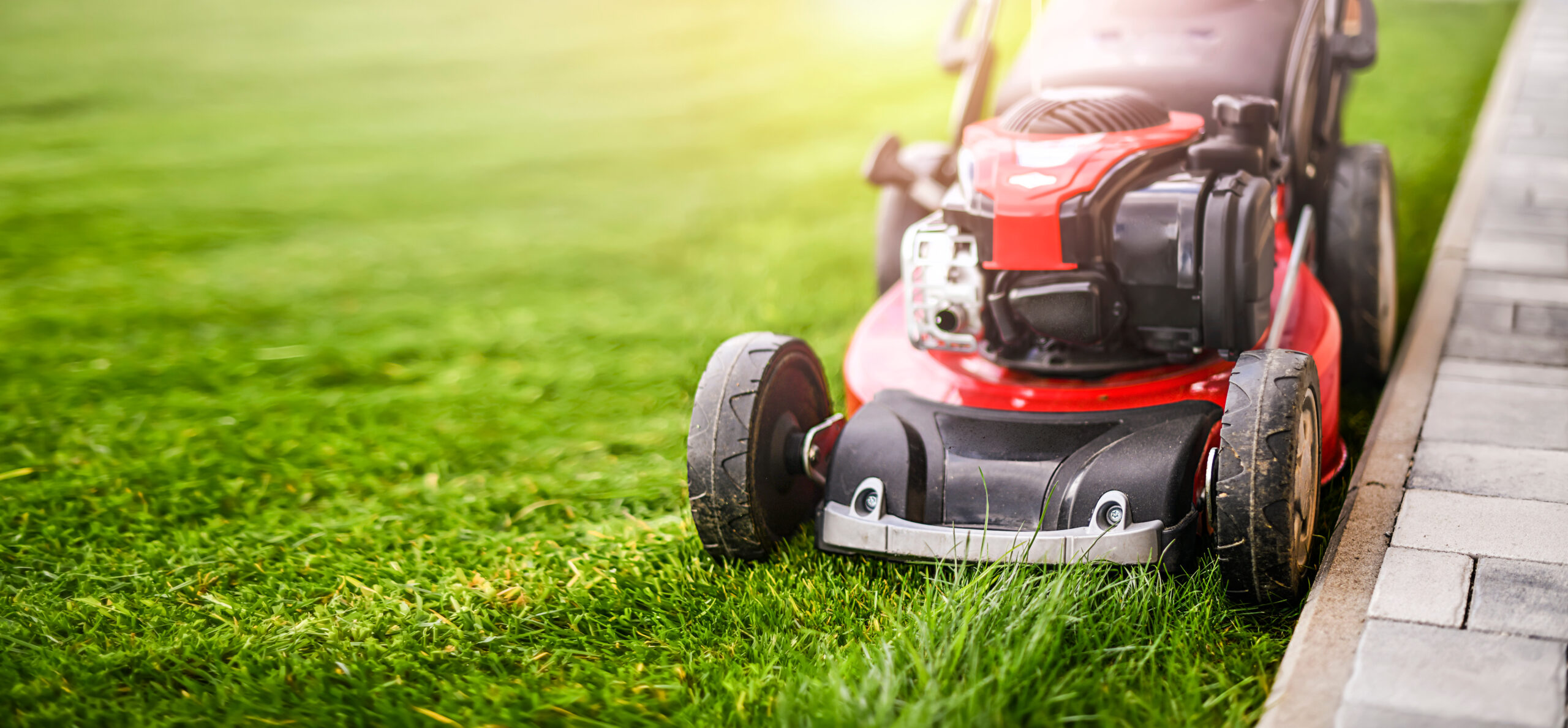 mowing and Edging along sidewalks, driveways, and beds