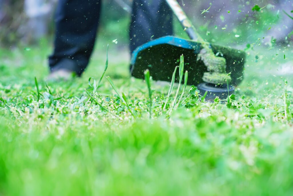 lawn care services in Frisco, TX