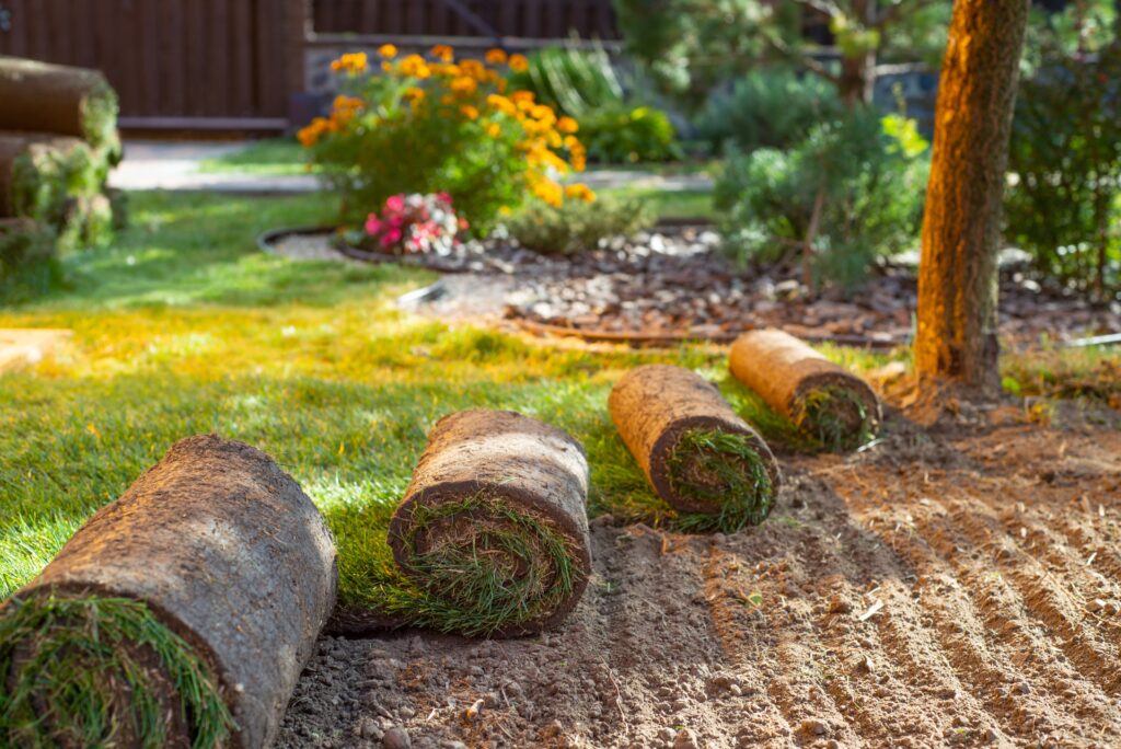 Turf for play areas and schools