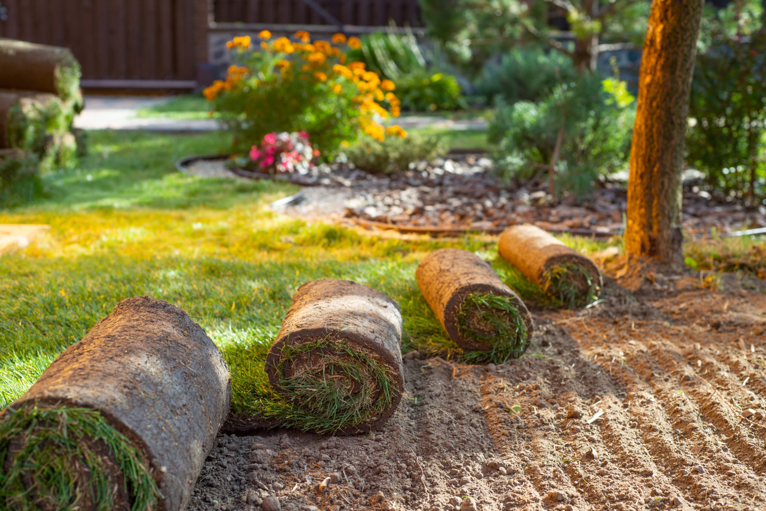 Turf for play areas and schools