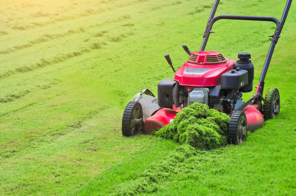 Lawn Services in Frisco Tx