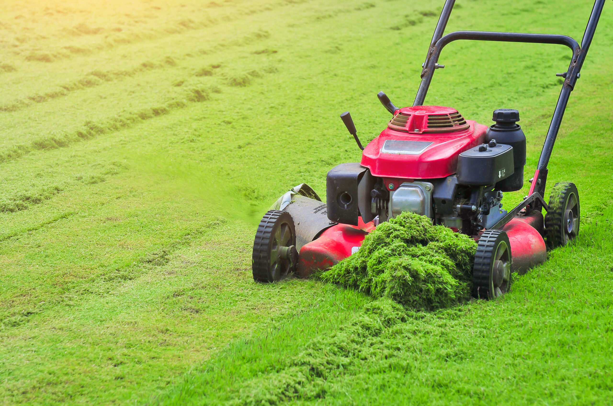 Lawn Services in Frisco Tx