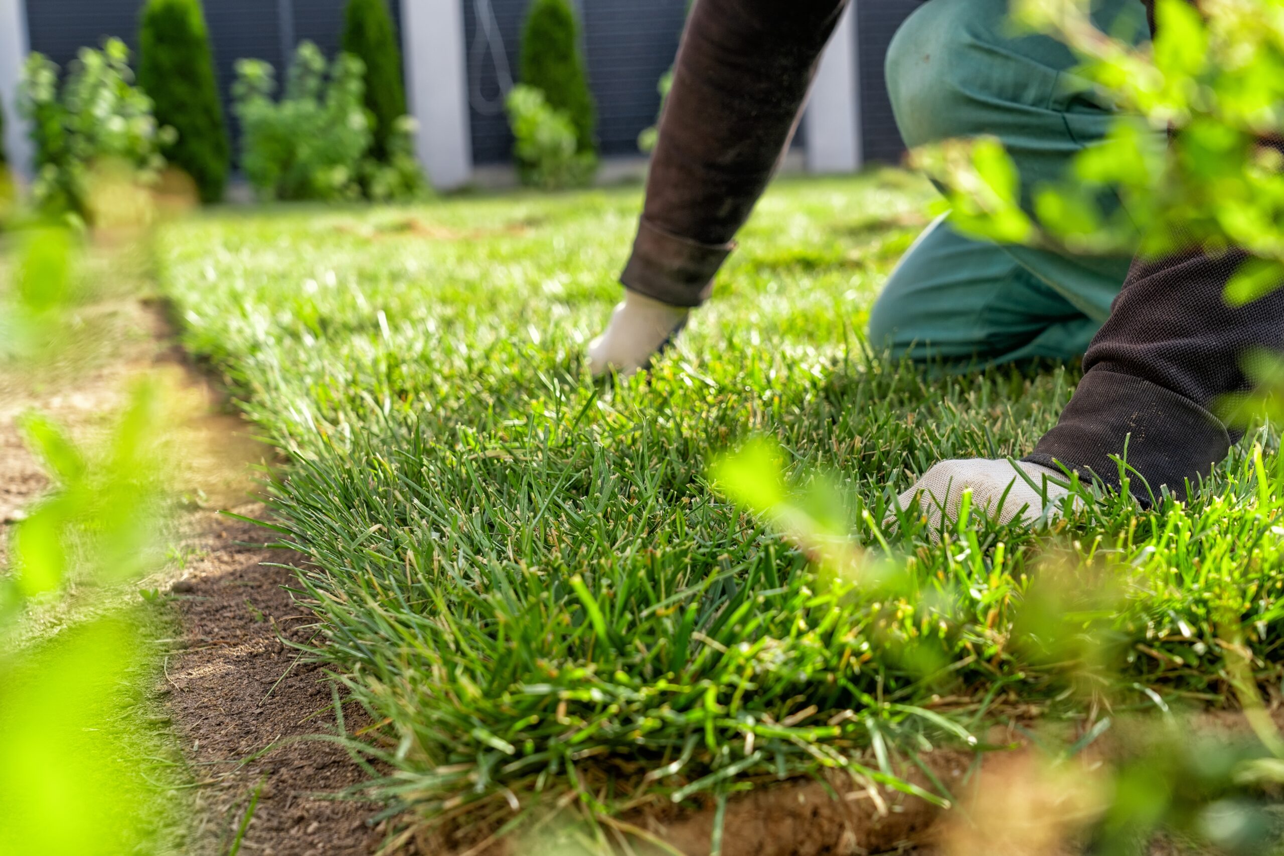 Synthetic & Artificial Turf Installation